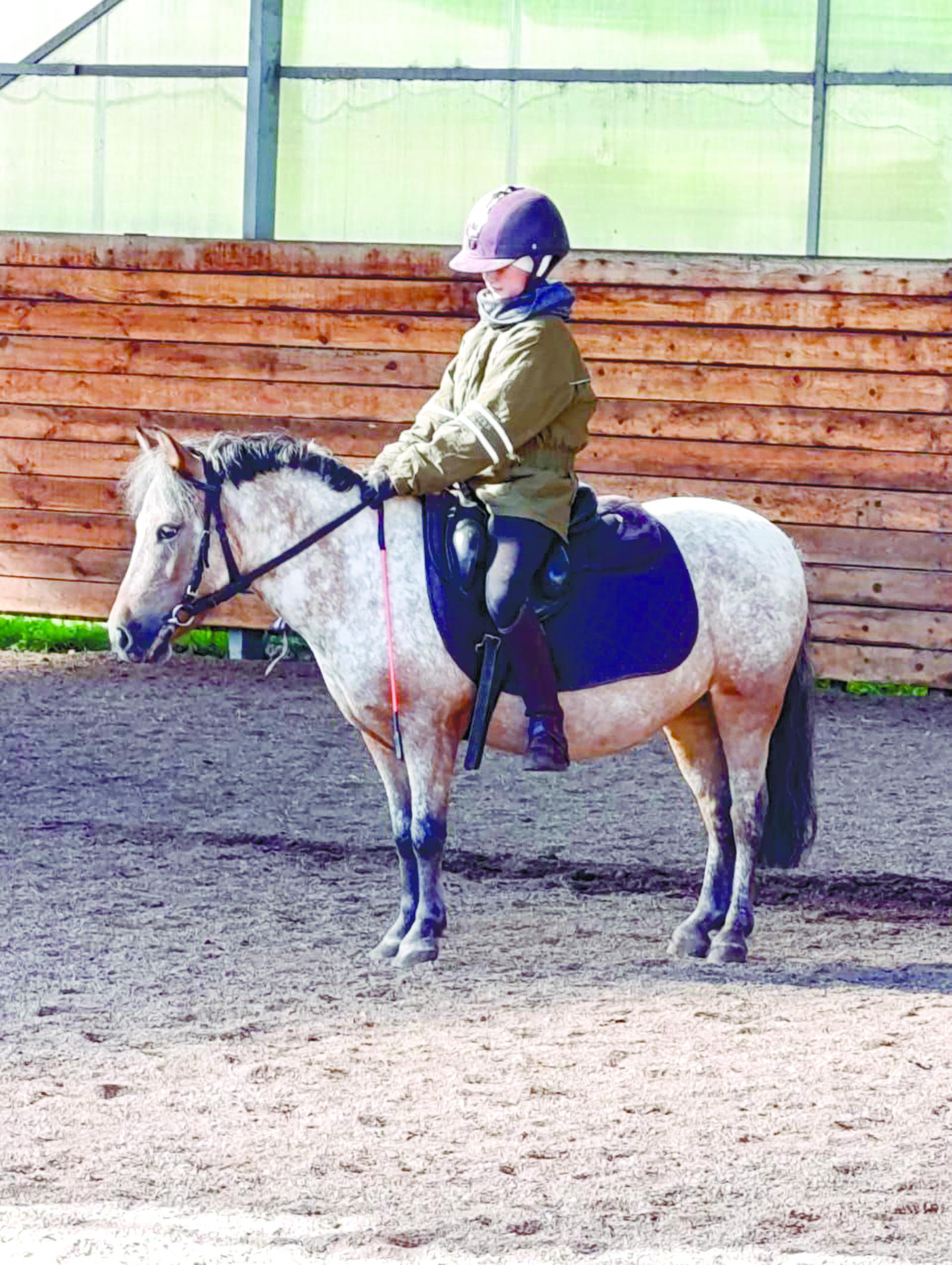 Пони да ат бит