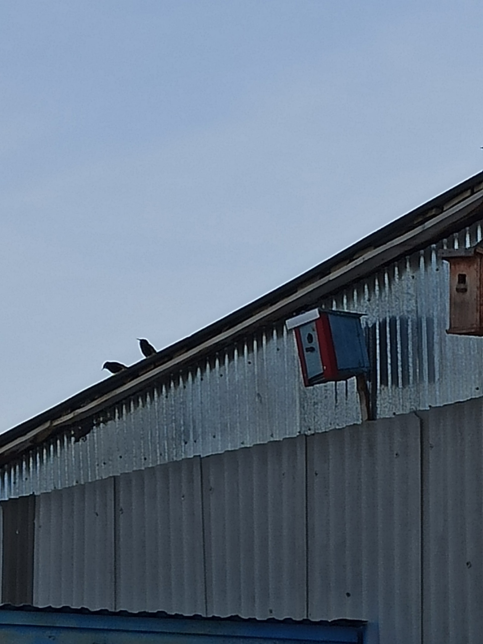 Язгы мәшәкатьләр